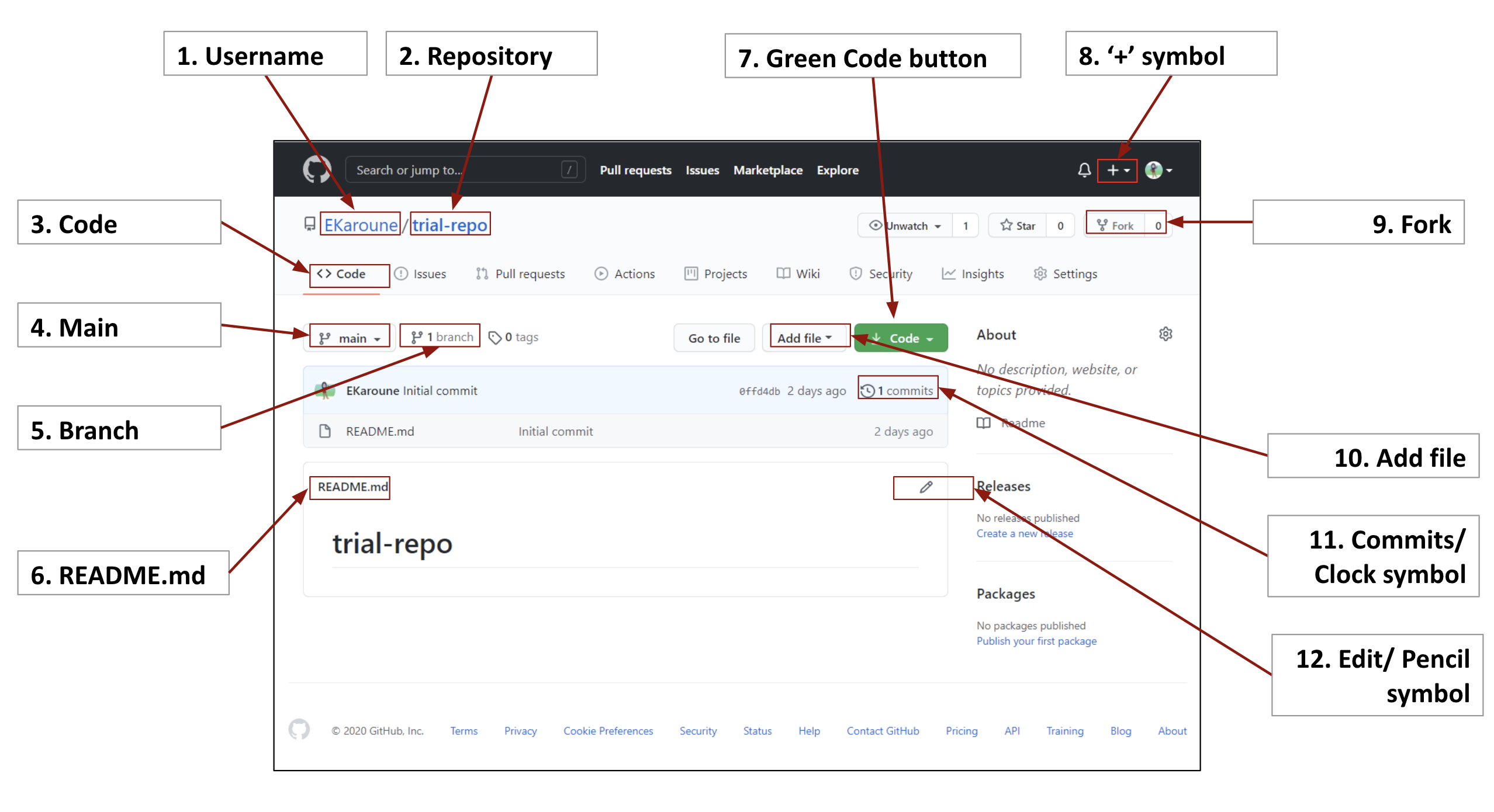 Annotated diagram of repository after it’s basic creation – explaining the main features. Explained in the figure legend.